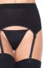 Zara Garter Belt and Stocking  One Size