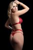 2 Pc Halter Bra and Thong Set  One Size