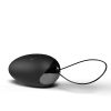 Premium Dual Vibe Remote and Egg