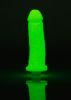 Clone a Willy Glow in the Dark Kit