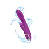 Frenzy   Rabbit Vibe With Clitoral Suction